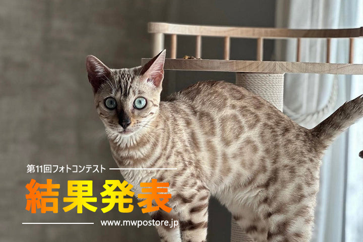 第11回フォトコンテスト結果発表