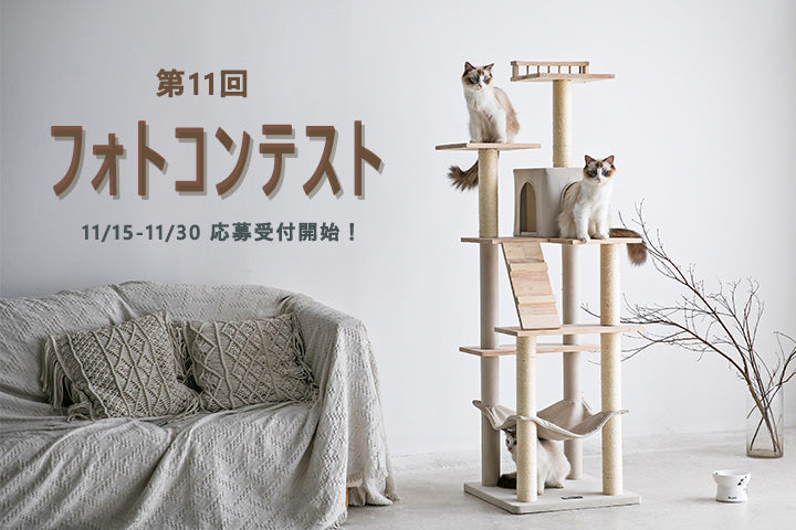 第12回 MWPO フォトコンテスト応募受付開始！