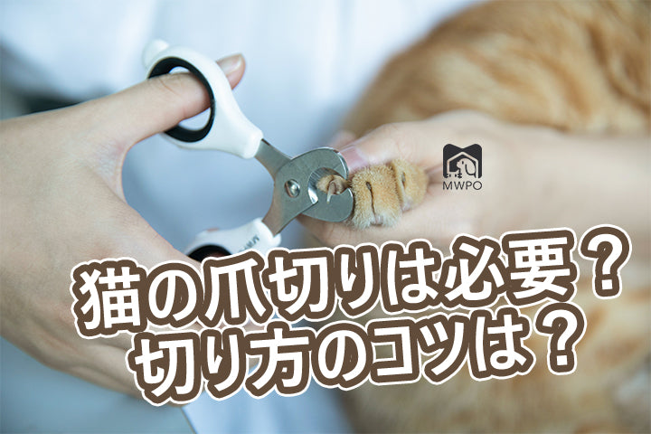 MWPO 猫の爪切りは必要か？切り方のコツは？