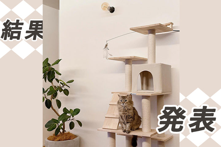 第10回フォトコンテスト結果発表