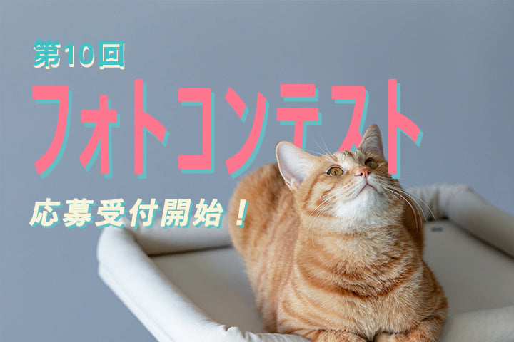 第10回 MWPO フォトコンテスト応募受付開始！