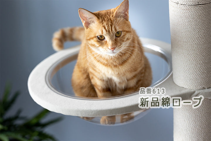 【新品発売】綿紐付き突っ張りキャットタワー