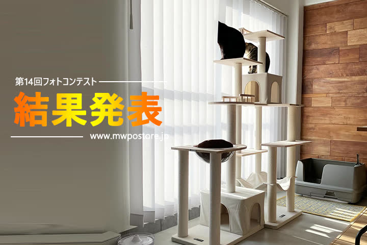 第14回フォトコンテスト結果発表