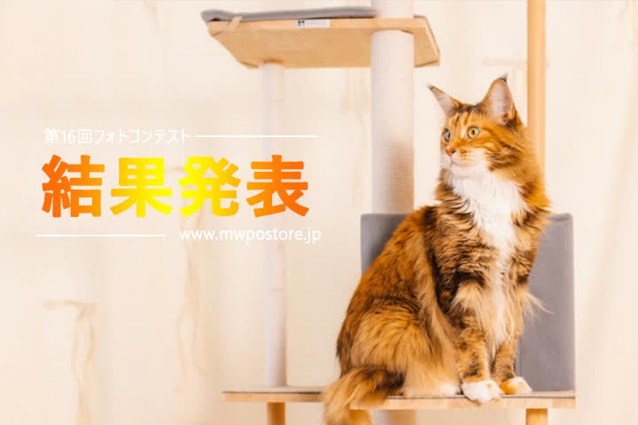 第16回フォトコンテスト結果発表