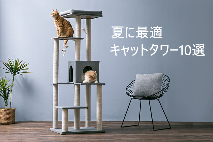MWPO 【夏用】おすすめキャットタワー10選