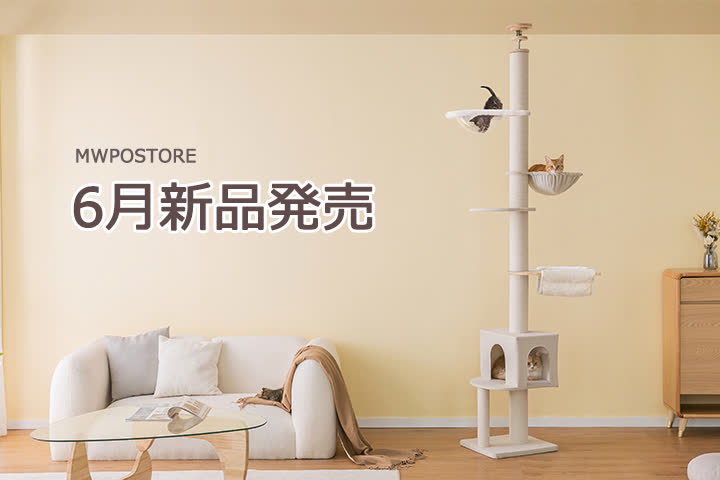 MWPO 6月新品発売