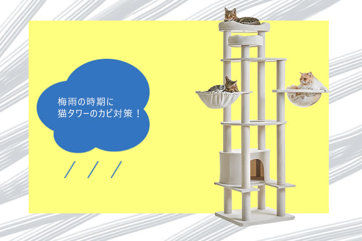 梅雨の時期に猫タワーのカビ対策