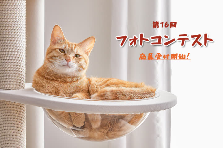 第16回 MWPO フォトコンテスト応募受付開始！