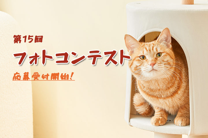 第15回 MWPO フォトコンテスト応募受付開始！