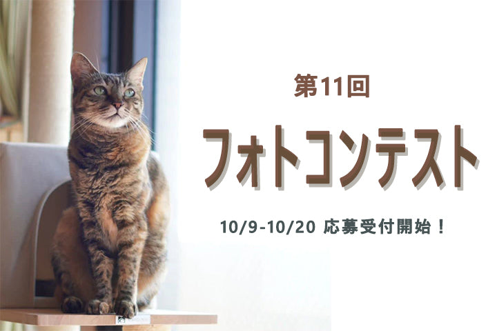 第11回 MWPO フォトコンテスト応募受付開始！