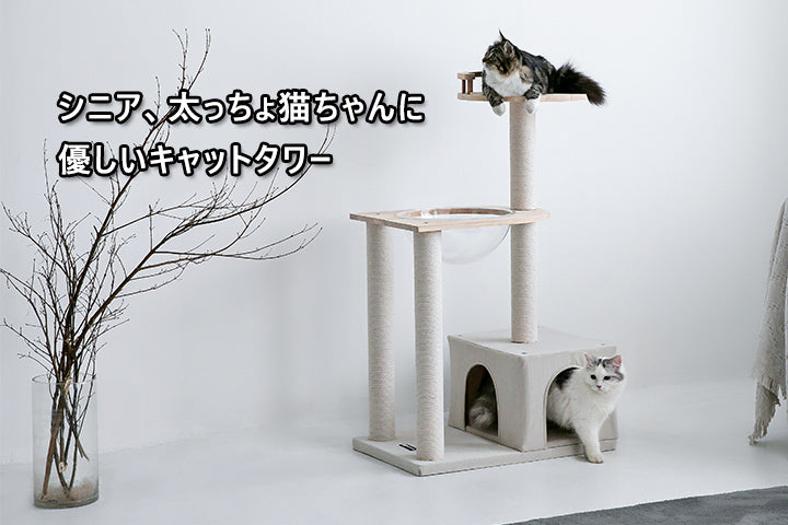 シニア、短足、太っちょ猫ちゃんに優しいキャットタワー